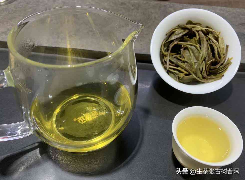 无量山茶属于哪个茶区-无量山茶属于哪个茶区的