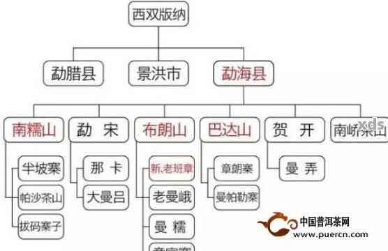 普洱茶的品类及其独特的醇厚口感：一场源自云南的独特茶文化探索