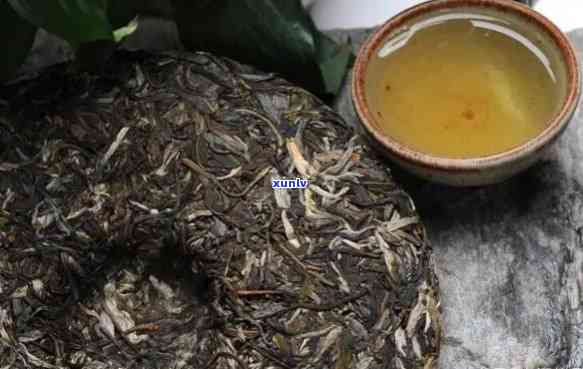 千家寨普洱茶档次：普洱市千家寨普洱茶业的生茶口感体验