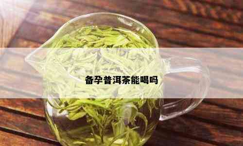 备孕还喝普洱茶可以吗