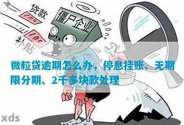 微立贷逾期两个星期怎么办：解决方法和办理步骤