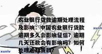 逾期一天的农业银行贷款还款：处理策略与影响分析