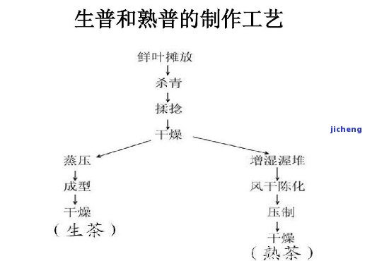 普洱茶的生成过程及其独特风味探析