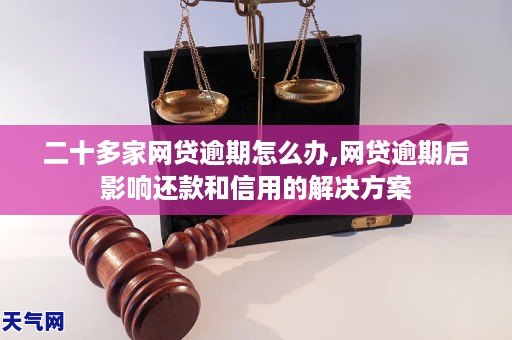 逾期一年后，网贷可能带来的严重影响及应对策略