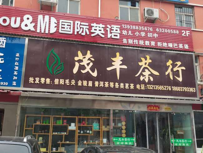 雄达茶城精选茶叶：哪家店铺的口感最令人难忘？