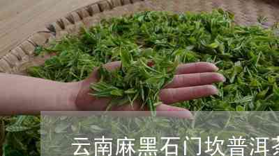 普洱茶石门坎：品种特点与鉴别方法