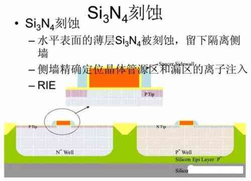 全面解析：从原料选取到成品制作的国外普洱茶工艺流程及独特之处