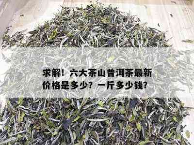 '大叶山普洱茶价格一斤多少钱