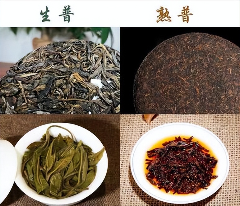 茶香普洱茶全系列价格对比：探索高品质茶叶的选择