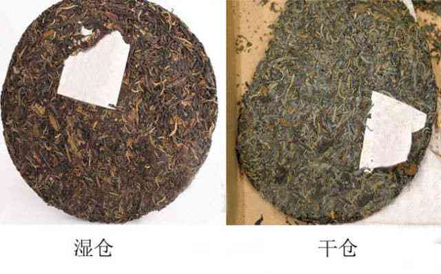 普洱茶：真实口感还是误导？探究为什么有人觉得不好喝