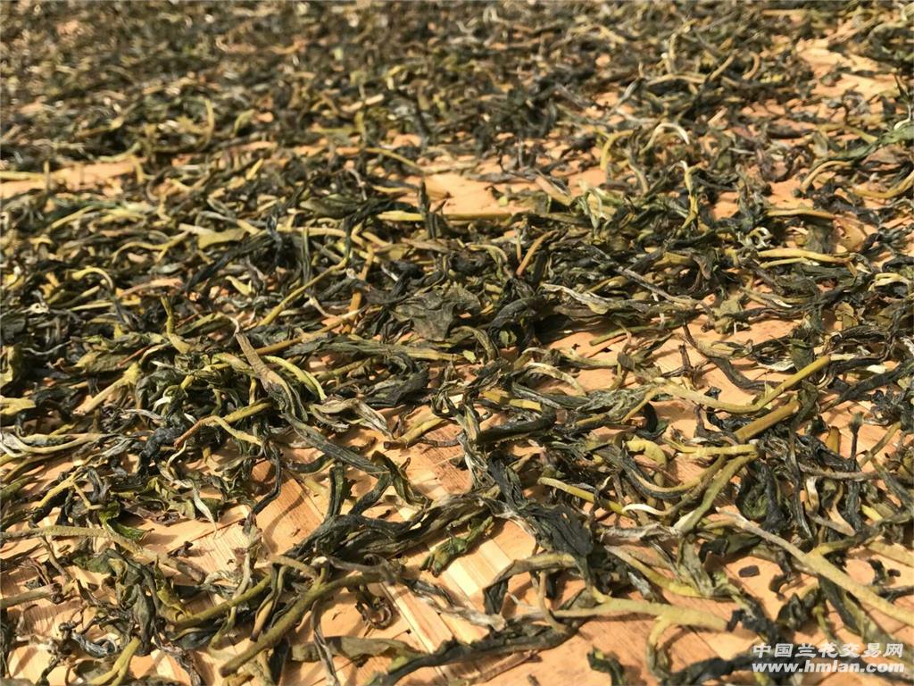 凤庆大龙潭普洱茶生茶