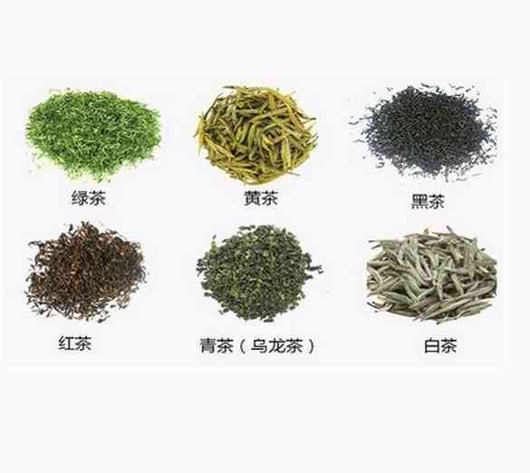 普洱茶两大类：黑茶与白茶的异同比较分析