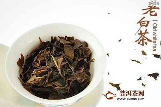 普洱茶的黑茶和白茶：哪个更好？对比分析与选择建议