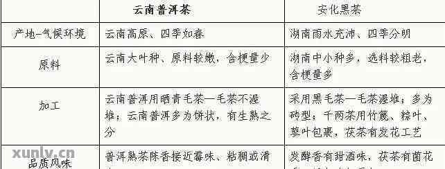 普洱白茶黑茶的比较：区别、功效及选购建议