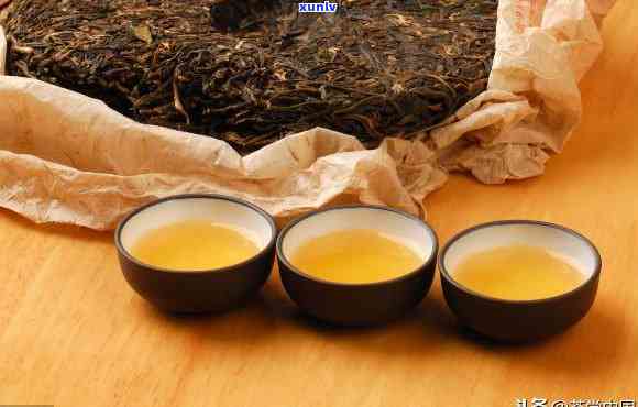 普洱茶的分类：白茶、黑茶还是红茶？解答各类茶的特点和区别