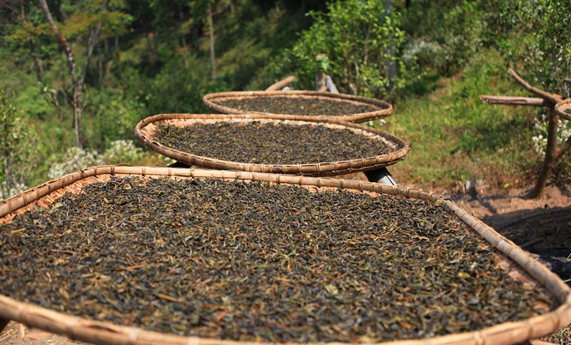 新 如何轻松打开普洱茶圆饼？掌握这些技巧就行了！