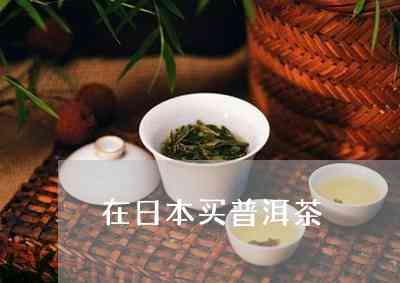 哪里有卖普洱茶的