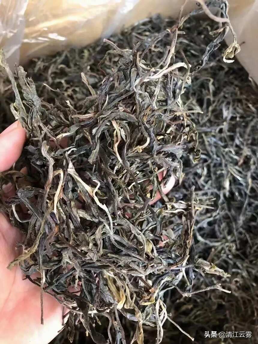 云南普洱茶东南西北茶