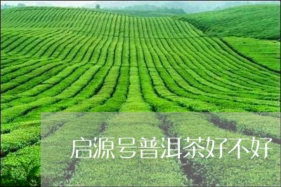 启源壹号普洱茶怎么样