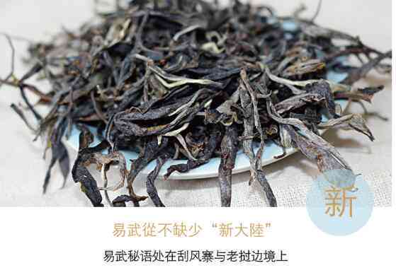 易武山野生茶：勐海茶叶制品、特级品、大茶树等