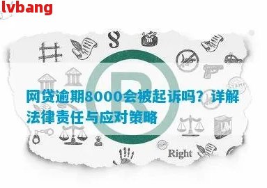 法务协助应对网贷逾期：有效策略与实际案例分析，确保您的权益不受损害