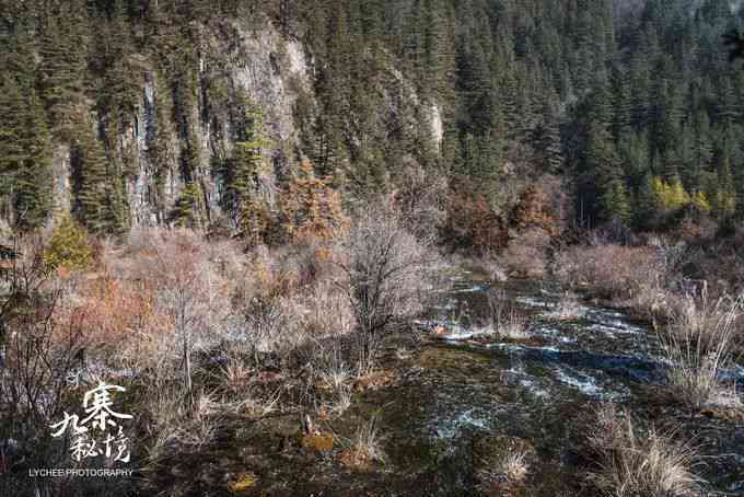 翡翠水：自然之美、清澈纯净、神秘湖泊、绿意盎然、宁静祥和