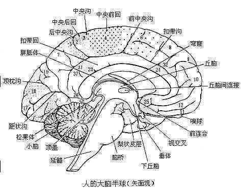 翡翠内部的力学结构包括： 晶体结构，晶格缺陷，以及其对力学性质的影响