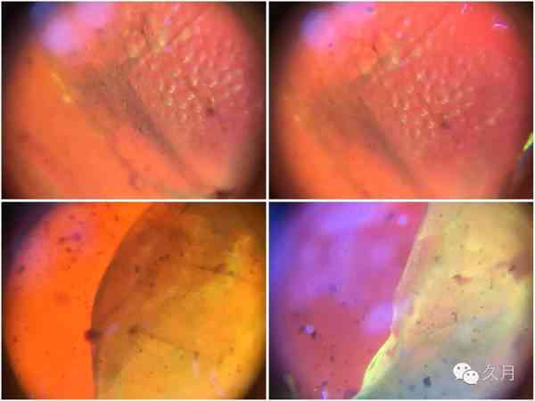 琥珀和玉石：两种宝石的分类与鉴别