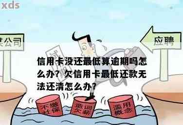 亲使用信用卡透支逾期未还款，我该怎么办？