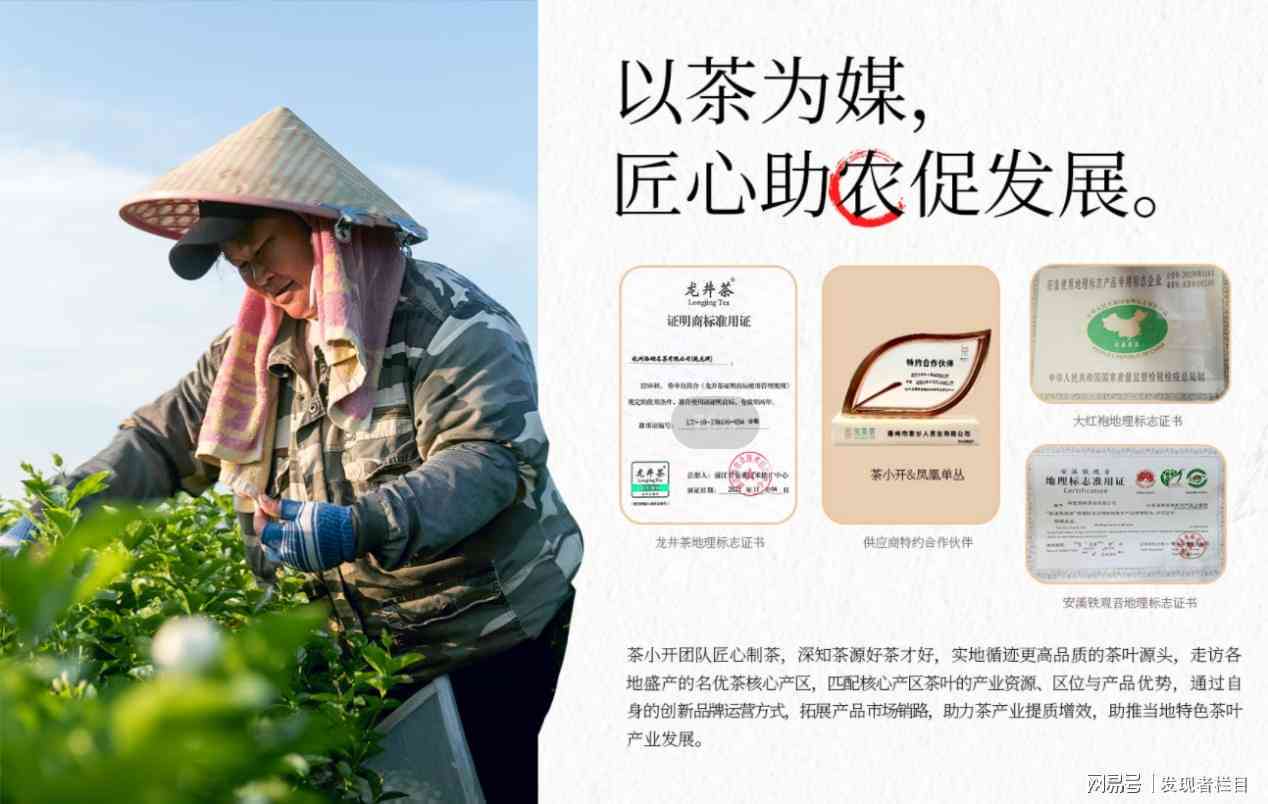 启源号茶叶：优质茶叶品质保障，怎么样？