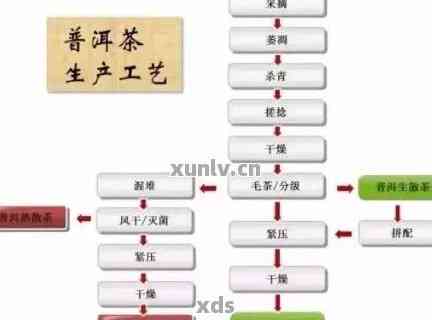 从零开始：全面了解普洱茶样机制作过程与技巧，解决您的所有疑问