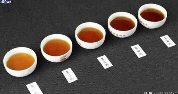 品茶普洱茶：从入门到精通，全面了解普洱茶的选购、冲泡、功效与品鉴方法