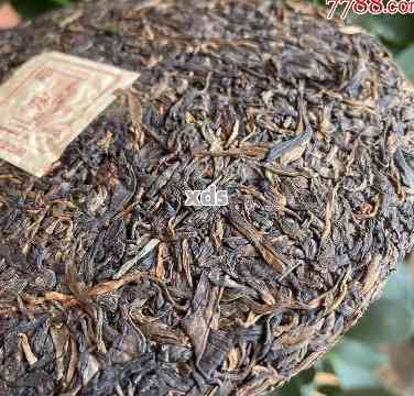 普洱茶样品50克价格