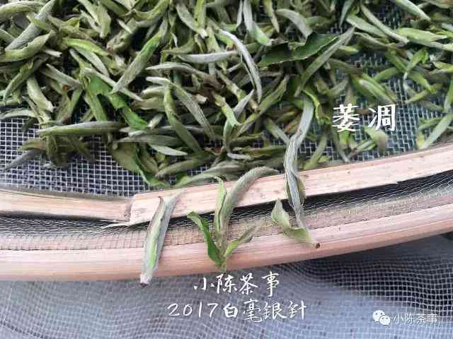 青绿茶与普洱茶：它们之间的区别和联系，以及如何区分？