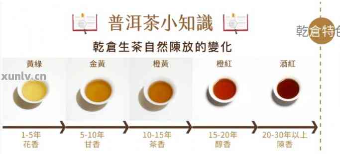 深入探讨普洱茶七级与九级：口感、香气与保存期限的差异分析