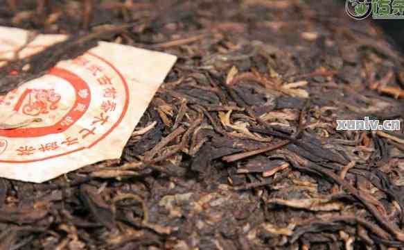 普洱茶价格查询：一瓶茶叶多少钱？