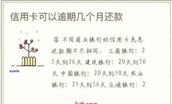 新信用卡一号账单日及还款日期详细解读，让你避免逾期困扰