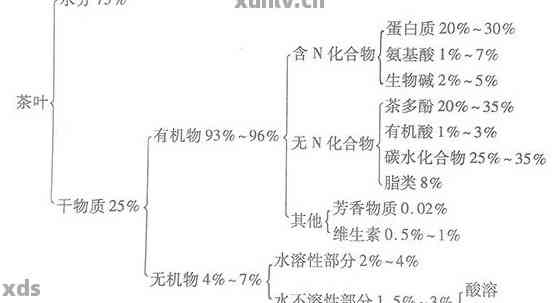 探究普洱茶独特风味的化学成分及其转化机制