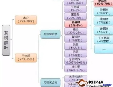 探究普洱茶独特风味的化学成分及其转化机制