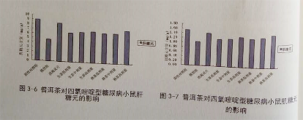 普洱茶对血糖高患者的影响与适宜饮用方法探讨