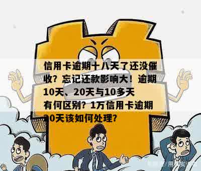 几十元信用卡逾期8次怎么办？忘记还款会产生什么后果？