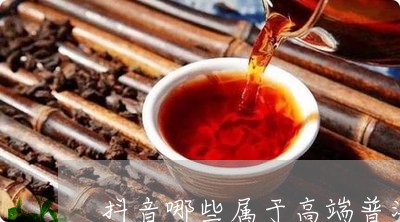 抖音普洱茶：详细介绍、种类、功效及如何选择与品鉴，助你全面了解普洱茶