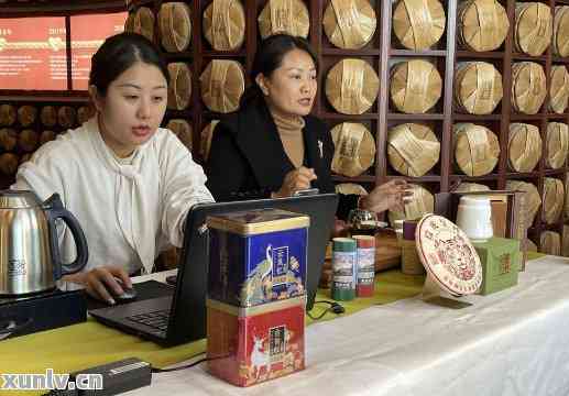 普洱茶工厂直播间介绍语：品鉴源头，臻享茶香。