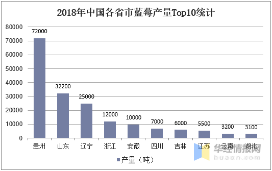 99绿大树价格，规格、优缺点及最新市场趋势分析