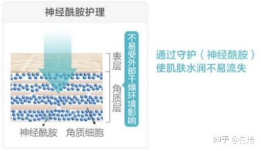 老蓝水：成分、功效、使用方法及注意事项的全面解析