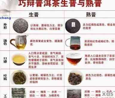 云南普洱茶品种对比：哪个种类的普洱茶味道最甜美？