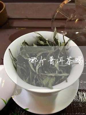 普洱茶哪种最甜喝