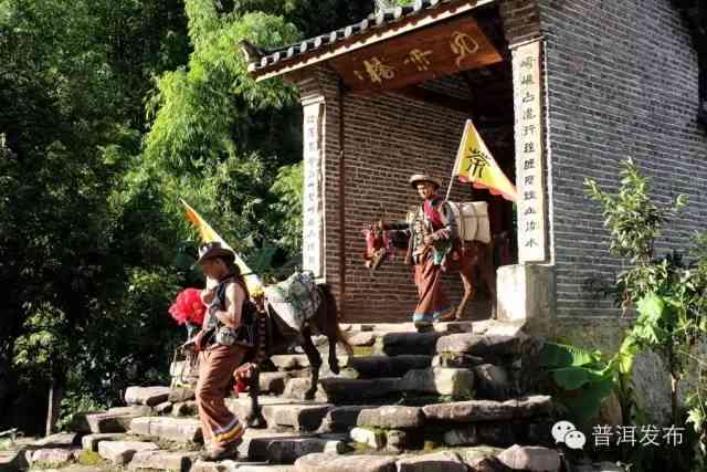 云南茶马古道价格：卖的是什么茶？云南旅游茶马古道，云南茶马古道茶