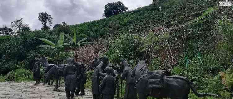 云南普洱茶马古道：探寻千年茶文化之旅