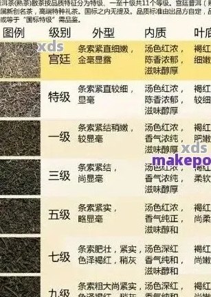 普洱茶种类详解：从经典到现代，一次了解所有普洱茶的分类和特点